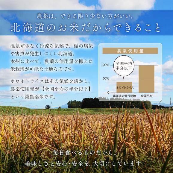 令和6年度産 米 特A 北海道産 ななつぼし 10kg 無洗米 白米 玄米(選べる精米方法)04