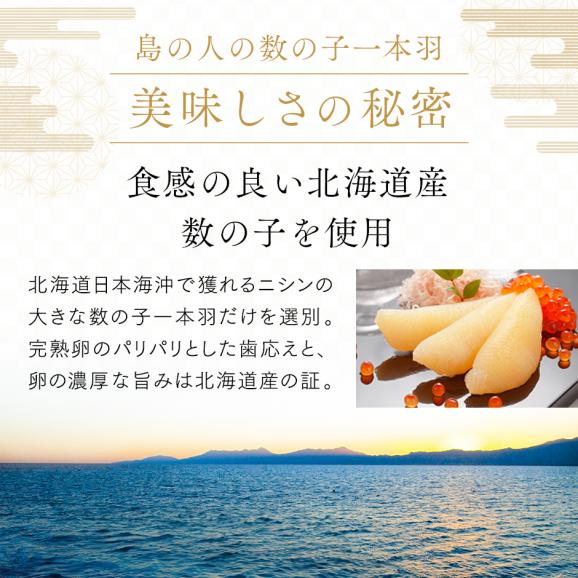 数の子 北海道産 一本羽 味付け数の子 5～8本(白醤油漬 300g前後)【送料無料】04