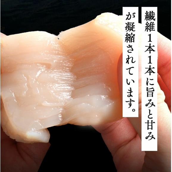 北海道 枝幸産 お刺身 肉厚ほたて貝柱 700g【送料無料】06
