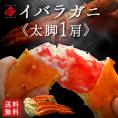 【タラバより濃厚】イバラガニ 脚 800g前後 (1肩)【送料無料】