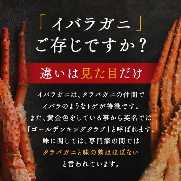【タラバより濃厚】イバラガニ 脚 800g前後 (1肩)【送料無料】02
