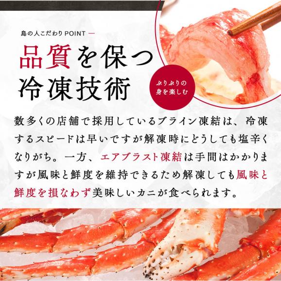 【便利なカット済み】タラバガニ 特大蟹脚 1.2kg（2～3人前）冷凍【送料無料】04