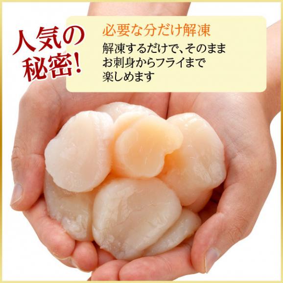 北海道産 お刺身 ホタテ貝柱 800g【送料無料】【ジッパー袋入り・バラ凍結】お取り寄せグルメ ほたて 訳あり(割れ・欠け含む) 帆立 刺身 冷凍 北海道 貝 海鮮 海産物 食べ物02