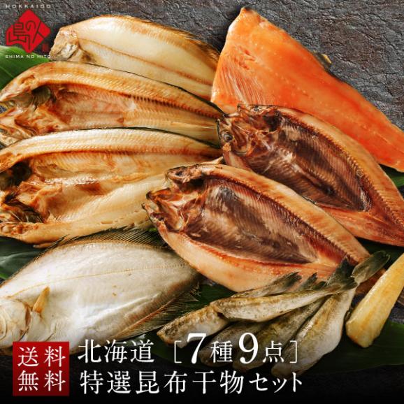 北海道の干物セット(7種9点入り)【送料無料】内祝い お返し 誕生日 60代 70代 グルメ セット お取り寄せ ギフト 魚 詰め合わせ 食品 食べ物 高級 海鮮 干物01