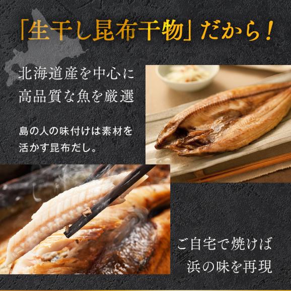 北海道の干物セット(7種9点入り)【送料無料】内祝い お返し 誕生日 60代 70代 グルメ セット お取り寄せ ギフト 魚 詰め合わせ 食品 食べ物 高級 海鮮 干物02