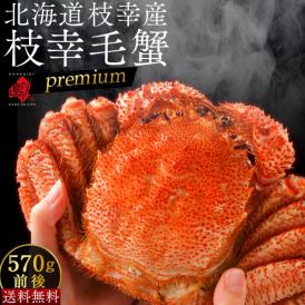 かに 北海道 枝幸産 プレミアム毛蟹 570g【送料無料】
