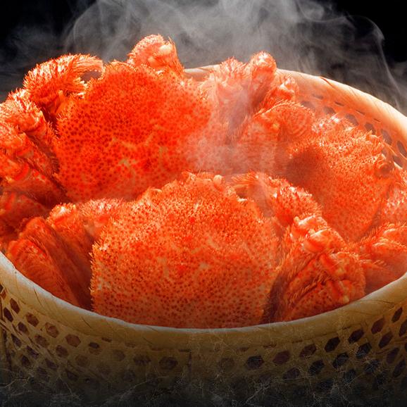 かに 北海道 枝幸産 プレミアム毛蟹 500g【送料無料】02