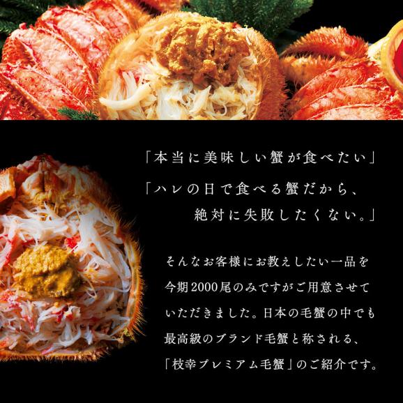 かに 北海道 枝幸産 プレミアム毛蟹 700g-750g【送料無料】03