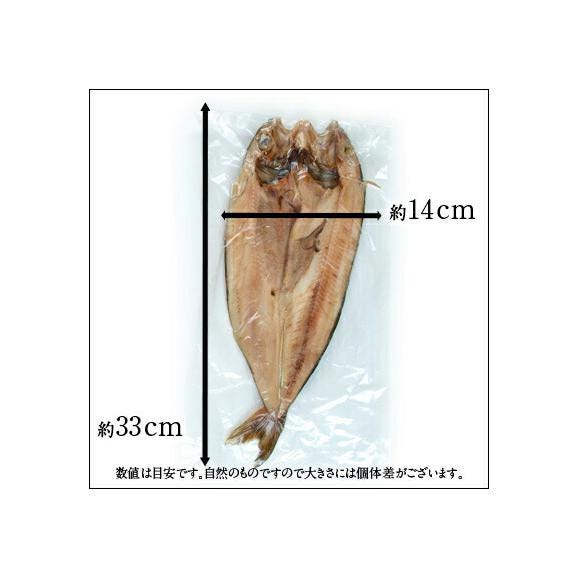 北海道 礼文島産 紅法華(べにほっけ) ほっけ開き 中サイズ 200-290g 3尾セット03