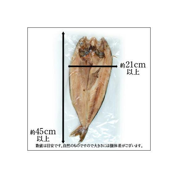 北海道 礼文島産 紅法華(べにほっけ) ほっけ開き 501-700g 5尾セット【プレミアムサイズ】03