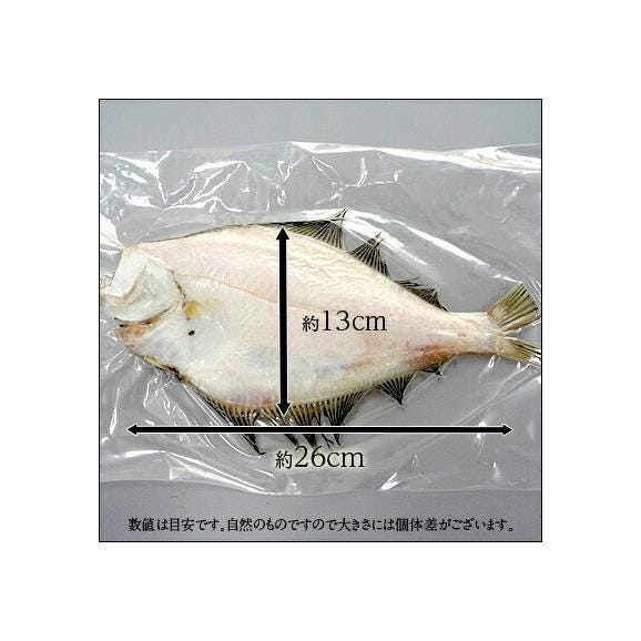 北海道産 宗八鰈(そうはちカレイ) 250-350g 5尾セット02