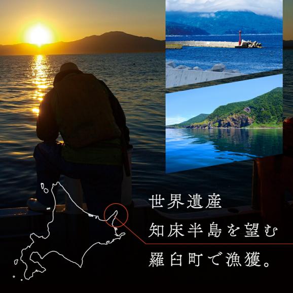 北海道 知床・羅臼産 天然ぶり刺身 1.0kg (500g×2) 03