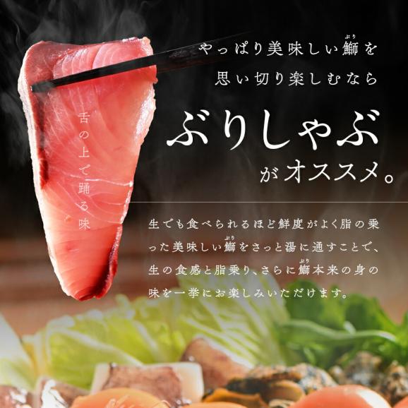 北海道 知床・羅臼産 天然ぶり刺身 1.0kg (500g×2) 04