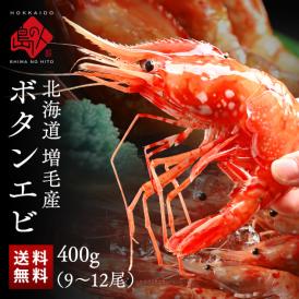 北海道 増毛産 ボタンエビ 400g(9-12尾前後)【希少な北海道産】【送料無料】透き通る身と濃厚なエビ味噌 ぼたんえび お取り寄せグルメ 北海道 えび エビ 冷凍 海老 刺身 ボタン