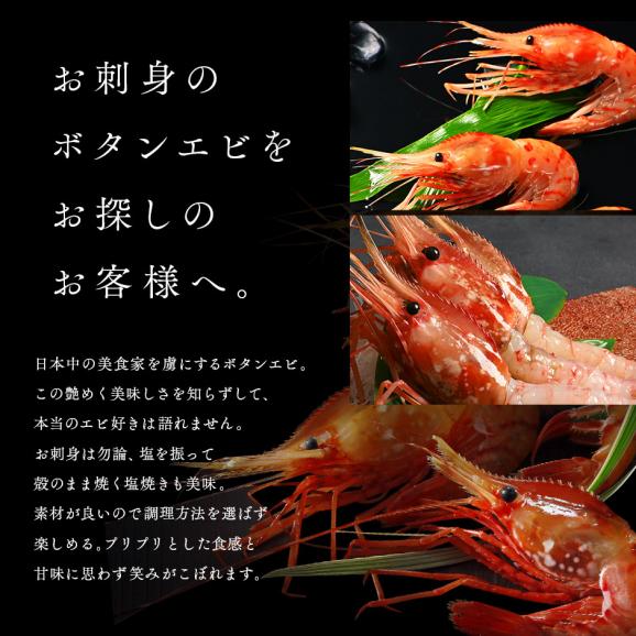北海道 増毛産 ボタンエビ 400g(9-12尾前後)【希少な北海道産】【送料無料】透き通る身と濃厚なエビ味噌 ぼたんえび お取り寄せグルメ 北海道 えび エビ 冷凍 海老 刺身 ボタン02
