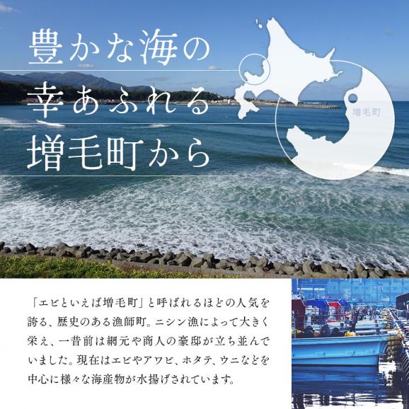 北海道 増毛産 ボタンエビ 400g(9-12尾前後)【希少な北海道産】【送料無料】透き通る身と濃厚なエビ味噌 ぼたんえび お取り寄せグルメ 北海道 えび エビ 冷凍 海老 刺身 ボタン03