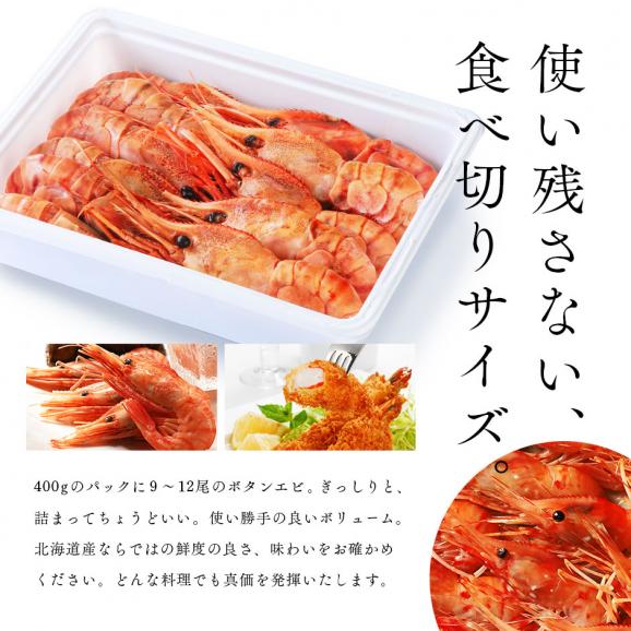 北海道 増毛産 ボタンエビ 400g(9-12尾前後)【希少な北海道産】【送料無料】透き通る身と濃厚なエビ味噌 ぼたんえび お取り寄せグルメ 北海道 えび エビ 冷凍 海老 刺身 ボタン05