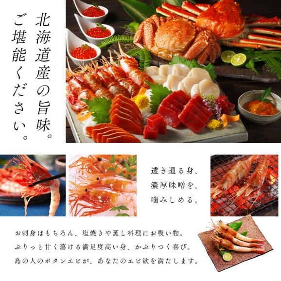 北海道 増毛産 ボタンエビ 400g(9-12尾前後)【希少な北海道産】【送料無料】透き通る身と濃厚なエビ味噌 ぼたんえび お取り寄せグルメ 北海道 えび エビ 冷凍 海老 刺身 ボタン06