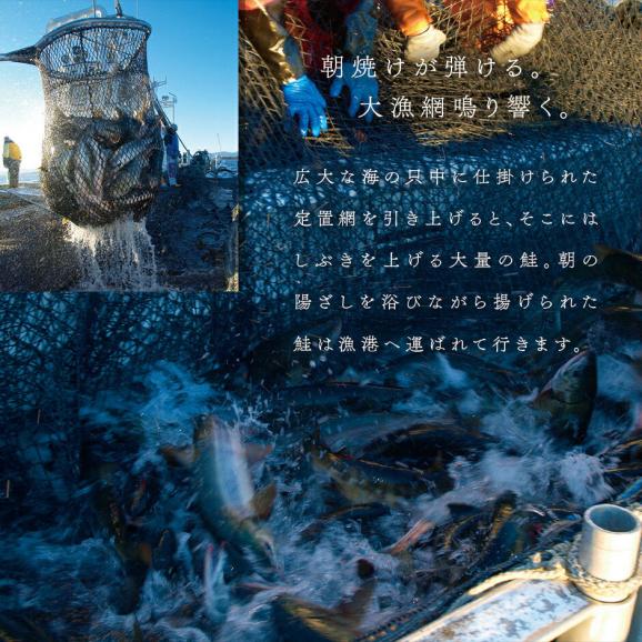 大粒 利尻昆布だし醤油 北海道産 鮭 イクラ醤油漬 400g【送料無料】【粒が大きい・しょっぱくない】05