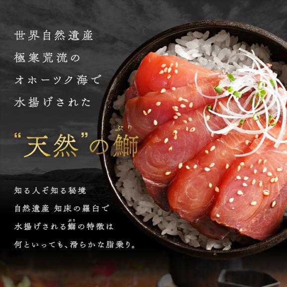 北海道 羅臼産 天然ぶり刺身 500g02