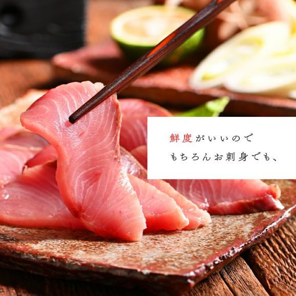 北海道 知床・羅臼産 天然ぶり刺身 900g (300g×3)05