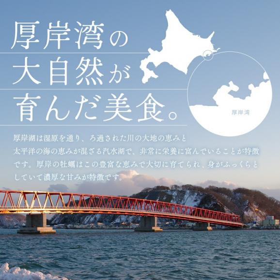 北海道 厚岸産 生剥き牡蠣 400g(20～24個程度)殻剥き不要 産地直送！03