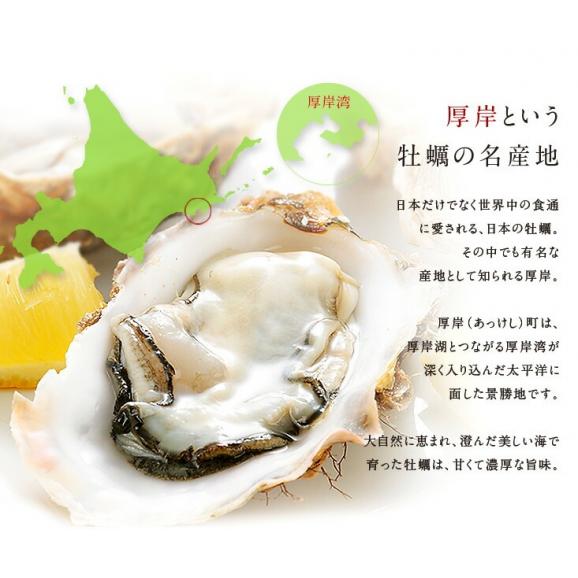 北海道 厚岸産 生剥き牡蠣 400g(20～24個程度)殻剥き不要 産地直送！05