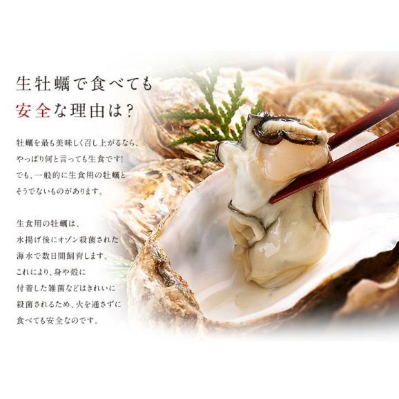北海道 厚岸産 生剥き牡蠣 400g(20～24個程度)殻剥き不要 産地直送！06