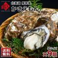 【水揚げ次第お届け】北海道 厚岸産 牡蠣 (カキえもん) 殻付き 9個(Mサイズ)【送料無料】