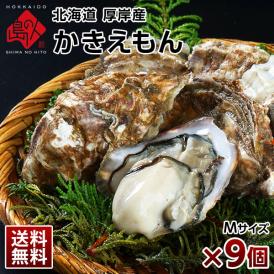 【水揚げ次第お届け】北海道 厚岸産 牡蠣 (カキえもん) 殻付き 9個(Mサイズ)【送料無料】