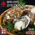 【水揚げ次第お届け】北海道 厚岸産 牡蠣 (カキえもん) 殻付き 9個(Lサイズ)【送料無料】