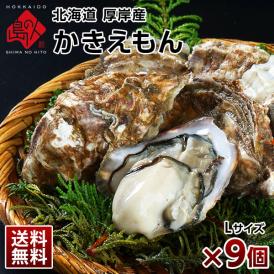 【水揚げ次第お届け】北海道 厚岸産 牡蠣 (カキえもん) 殻付き 9個(Lサイズ)【送料無料】