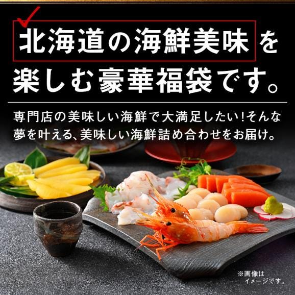 ＼ズワイガニが必ず入る／島の人 カニ入り海鮮福袋 2025 海鮮9点【送料無料】グルメ 福袋 お取り寄せグルメ 北海道 03