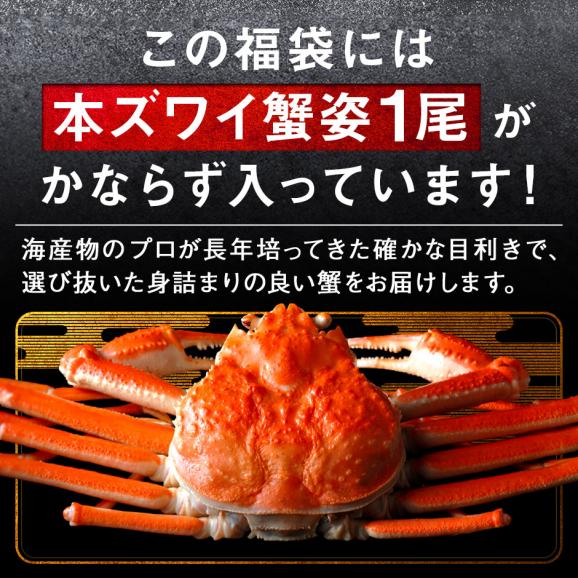 ＼ズワイガニが必ず入る／島の人 カニ入り海鮮福袋 2025 海鮮9点【送料無料】グルメ 福袋 お取り寄せグルメ 北海道 04