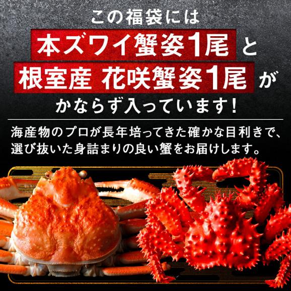 二大蟹とウニが必ず入る11点 海鮮福袋【送料無料】グルメ 福袋 お取り寄せグルメ 北海道 03