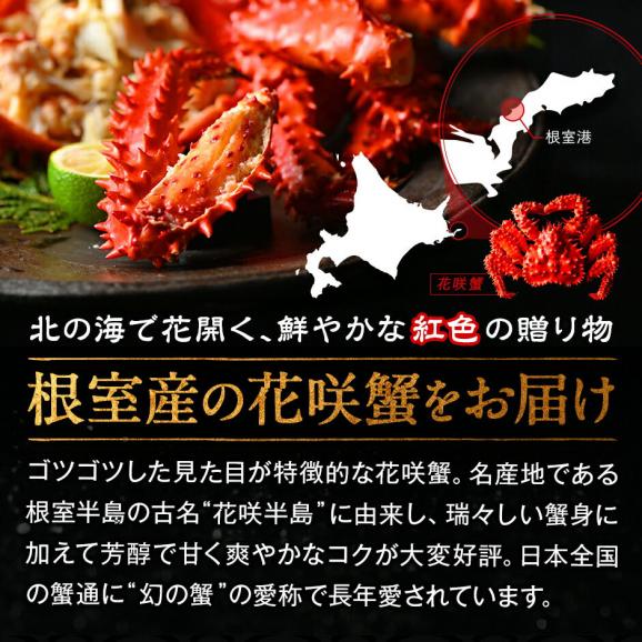 二大蟹とウニが必ず入る11点 海鮮福袋【送料無料】グルメ 福袋 お取り寄せグルメ 北海道 04