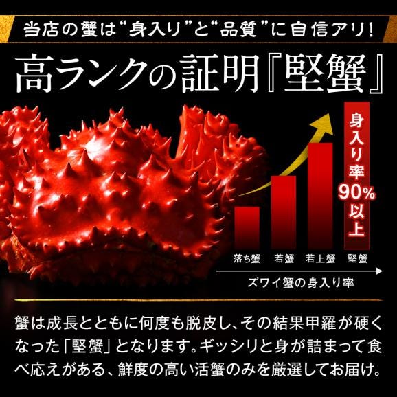 ＼ズワイガニと花咲ガニが必ず入る／島の人 カニ入り海鮮福袋 2025 海鮮11点【送料無料】】グルメ 福袋 お取り寄せグルメ 北海道 05