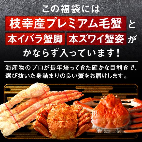＼三大蟹が必ず入る／島の人 カニ入り海鮮福袋 2025 海鮮12点 ズワイガニ 毛蟹 イバラガニ【送料無料】グルメ 福袋 お取り寄せグルメ 北海道 04