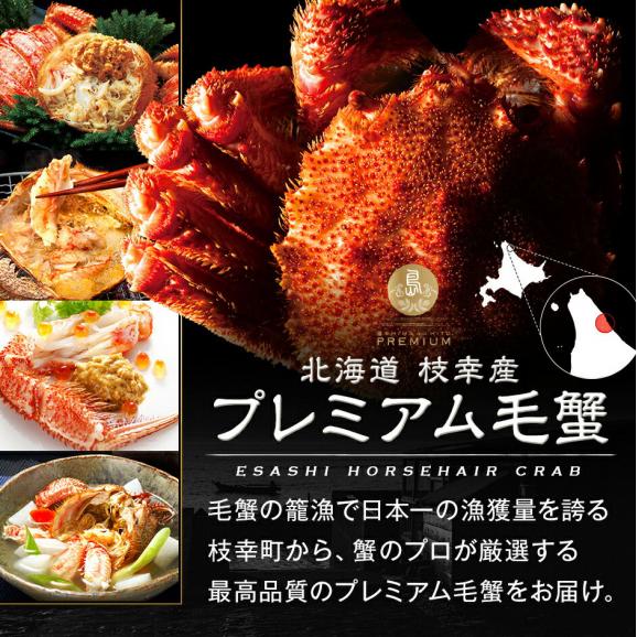 2種のウニと毛蟹が必ず入る12点 海鮮福袋【送料無料】グルメ 福袋 お取り寄せグルメ 北海道 05