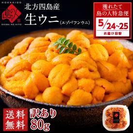 【5月24日～5月25日お届け】北方四島産 天然生エゾバフンウニ 80g【送料無料】【色が赤い訳あり品】生うに 塩水 パック ＊記載の期間にお届けとなります