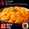 北方四島産 天然生エゾバフンウニ 80g【送料無料】【色が赤い訳あり品】生うに 塩水 パック *記載の期間にお届けとなります