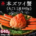本ズワイガニ 姿 640g前後 1尾 冷凍【送料無料】かに カニ 蟹 ずわい ズワイ蟹 プレゼント グルメ ギフト