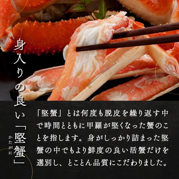 本ズワイガニ 姿 640g前後 1尾 冷凍【送料無料】かに カニ 蟹 ずわい ズワイ蟹 プレゼント グルメ ギフト04