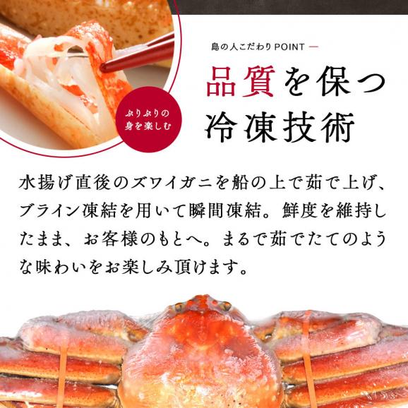本ズワイガニ 姿 640g前後 1尾 冷凍【送料無料】かに カニ 蟹 ずわい ズワイ蟹 プレゼント グルメ ギフト05