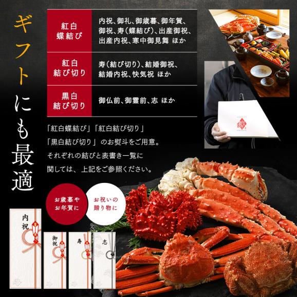 本ズワイガニ 姿 640g前後 1尾 冷凍【送料無料】かに カニ 蟹 ずわい ズワイ蟹 プレゼント グルメ ギフト06