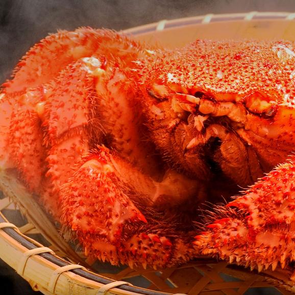 北海道 枝幸産 プレミアム毛蟹 360g～400g【送料無料】05
