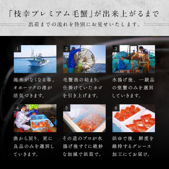北海道 枝幸産 プレミアム毛蟹 360g～400g【送料無料】06