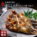【計20尾】北海道 広尾産 本ししゃも 夫婦セット オス メス食べ比べ (各10尾)【送料無料】