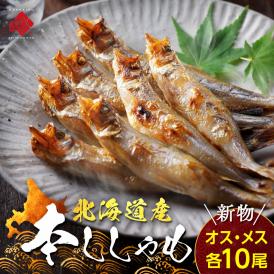 【肉厚・濃厚】北海道産本ししゃも 夫婦セット オス メス食べ比べ (各10尾・計20尾)【送料無料】
