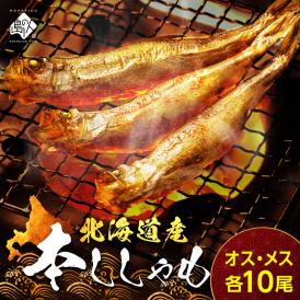【肉厚・濃厚】北海道産本ししゃも 夫婦セット オス メス食べ比べ (各10尾・計20尾)【送料無料】